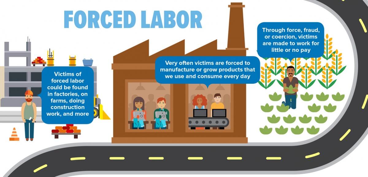 Labor trafficking victims forced and coerced to work for little to no pay